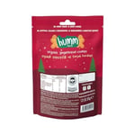 Humm Organic Organik Zencefilli Tarçınlı Vegan Kurabiye 1 Paket(55 Gr x 1 Adet)