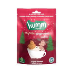 Humm Organic Organik Zencefilli Tarçınlı Vegan Kurabiye 1 Paket(55 Gr x 1 Adet)