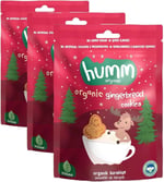 Humm Organic Organik Zencefilli Tarçınlı Vegan Kurabiye 1 Paket(55 Gr x 1 Adet)