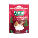 Humm Organic Organik Zencefilli Tarçınlı Vegan Kurabiye 1 Paket(55 Gr x 1 Adet)