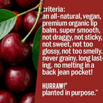 Hurraw Black Cherry Tinted Lip Balm Dudak Balmı Vişne 4.8g