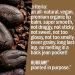 Hurraw Chocolate Lip Balm/Chocolate