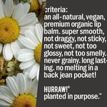 Hurraw Moon Lip Balm/Gece Balmı 4.8gr