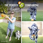 Hyper Pet 4'lü Küçük Tenis Topu Seti – Turuncu – Köpekler İçin Güvenli, Dayanıklı & Yüzen (Small)