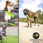 Hyper Pet Dura-Squeaks Stick Large – Dayanıklı & Sesli Köpek Oyuncağı – Suda Yüzen & Zıplayan Getir-Oyna Çubuğu