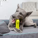 Hyper Pet EVA Köpük Kemik Köpek Oyuncağı – Hafif & Dayanıklı – Suda Yüzen & Kolay Temizlenen Getir-Bırak Oyuncağı (2 paketi) - Seçenekler: Pack of 2, One Size (2 paketi), EVA-STICK, One Size, Kemik...