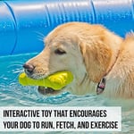 Hyper Pet EVA Köpük Kemik Köpek Oyuncağı – Hafif & Dayanıklı – Suda Yüzen & Kolay Temizlenen Getir-Bırak Oyuncağı (2 paketi) - Seçenekler: Pack of 2, One Size (2 paketi), EVA-STICK, One Size, Kemik...