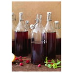IKEA KORKEN şeffaf cam şişe, tıpalı, yağ, sirke, içecek, bira, su, kombucha, kefir, soda için sallanan şişeler, (481 ml)