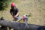 IKRA 78001850 IEAS 750 (SF7J307A) ELEKTRİK MOTORLU YÜKSEK DAL BUDAMA TESTERESİ – 750 Watt, 20,3 cm PALA UZUNLUĞU, 18,5 cm KESME UZUNLUĞU
