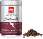 illy Guatemala Çekirdek Kahve (250g)