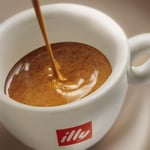 illy Guatemala Çekirdek Kahve (250g)