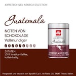 illy Guatemala Çekirdek Kahve (250g)