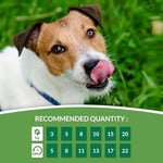 Inaba Ciao Churu Somon Aromalı Tavuklu Köpek Ödül Maması Atıştırmalığı 8x20 gr