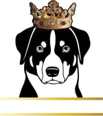 Independently published Appenzeller Sennenhund Dog Record and Memory Book: Dog Photo Album Pet Milestones Keepsake Book