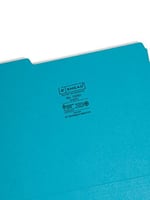 interior file Folders, 1/3 Cut Top Tab, Letter, Teal 100/box