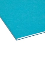 interior file Folders, 1/3 Cut Top Tab, Letter, Teal 100/box