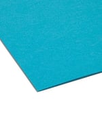 interior file Folders, 1/3 Cut Top Tab, Letter, Teal 100/box