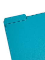 interior file Folders, 1/3 Cut Top Tab, Letter, Teal 100/box