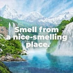 Irish Spring Aloe Mist Nemlendirici Yüz ve Vücut Yıkama 591ML