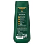 Irish Spring Aloe Mist Nemlendirici Yüz ve Vücut Yıkama 591ML