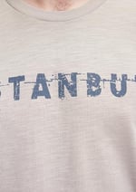 İstanbul Baskılı Gri Tişört Slim Fit/Dar Kesim 066282-31935