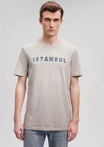 İstanbul Baskılı Gri Tişört Slim Fit/Dar Kesim 066282-31935