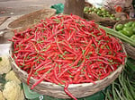 İthal Doğal Acı Şili Biberi Acı Biber Hot Chilean Pepper 100 Ad Tohum