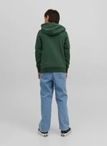 Jack and Jones JORDENIMDOG SWEAT HOOD kazak Kadın