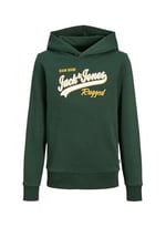 Jack and Jones JORDENIMDOG SWEAT HOOD kazak Kadın
