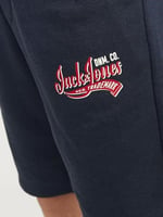 Jack & Jones Erkek Çocuk Şort Jpstlogo Sweat Shorts 2 Col Sn Gms Jnr