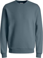 JACK & JONES Erkek JJEHOLMEN SWEAT CREW NECK NOOS Sweatshirt