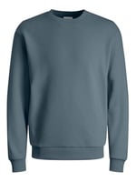 JACK & JONES Erkek JJEHOLMEN SWEAT CREW NECK NOOS Sweatshirt