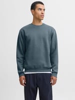 JACK & JONES Erkek JJEHOLMEN SWEAT CREW NECK NOOS Sweatshirt