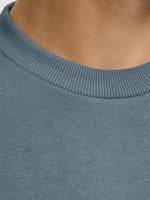 JACK & JONES Erkek JJEHOLMEN SWEAT CREW NECK NOOS Sweatshirt