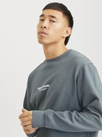 JACK & JONES Erkek Jorvesterbro Sweat Crew Neck Noos