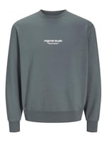 JACK & JONES Erkek Jorvesterbro Sweat Crew Neck Noos
