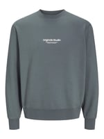 JACK & JONES Erkek Jorvesterbro Sweat Crew Neck Noos