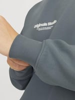 JACK & JONES Erkek Jorvesterbro Sweat Crew Neck Noos