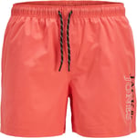Jack & Jones Erkek Logo Baskili Deniz Sortu - Maui, 12272799