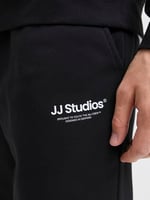 JACK & JONES Eşofman Altı Regular Fit, 12278943
