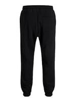 JACK & JONES Eşofman Altı Regular Fit, 12278943