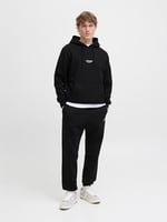 JACK & JONES Eşofman Altı Regular Fit, 12278943