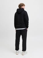 JACK & JONES Eşofman Altı Regular Fit, 12278943