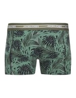 JACK & JONES Jacezra Leaves Trunks 3 Pack Jacezra Leaves Trunks 3'lü Paket Erkekler