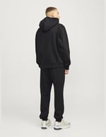 Jack & Jones Jack Jones Gordon Estar Eşofman Altı, TYC2B97A653155A800