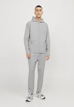 JACK & JONES JCOCLOUD SWEAT ZIP HOOD NOOS Sweatshirt Erkek