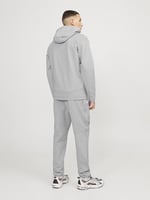 JACK & JONES JCOCLOUD SWEAT ZIP HOOD NOOS Sweatshirt Erkek