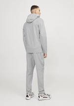 JACK & JONES JCOCLOUD SWEAT ZIP HOOD NOOS Sweatshirt Erkek