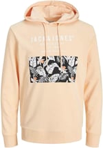 JACK & JONES JJCHILL SHAPE SWEAT HOOD Sweatshirt Erkek