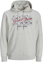 JACK & JONES JJCHILL SHAPE SWEAT HOOD Sweatshirt Erkek